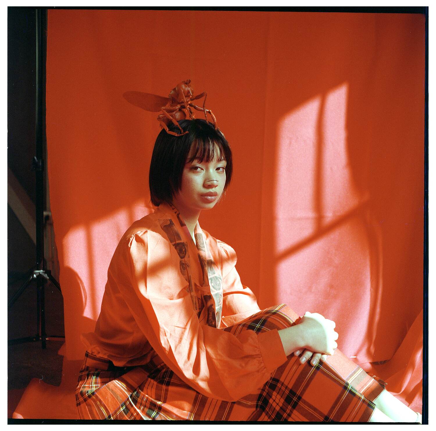 Fashion editorial