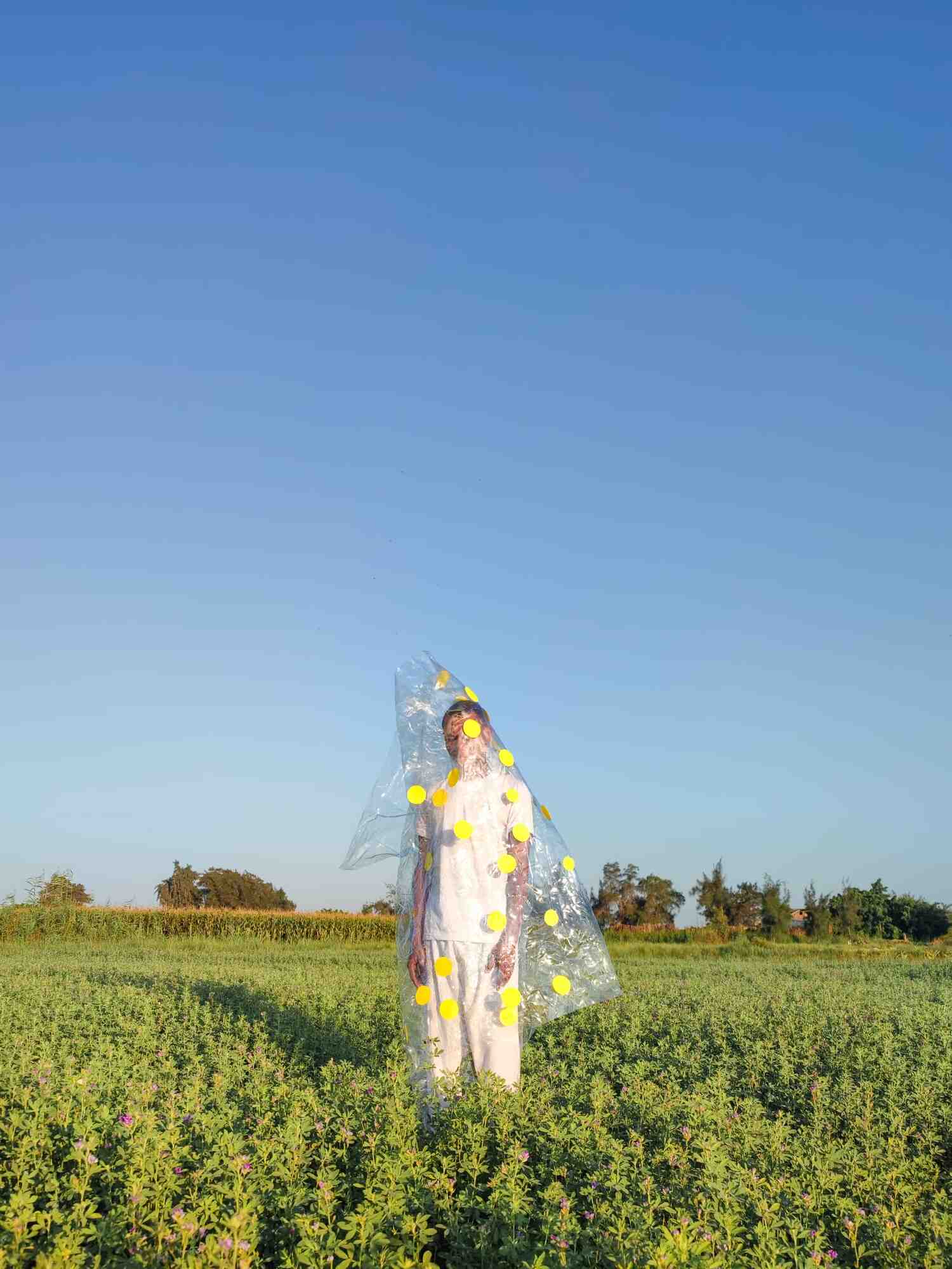Festival identity promotional picture with a man in the field